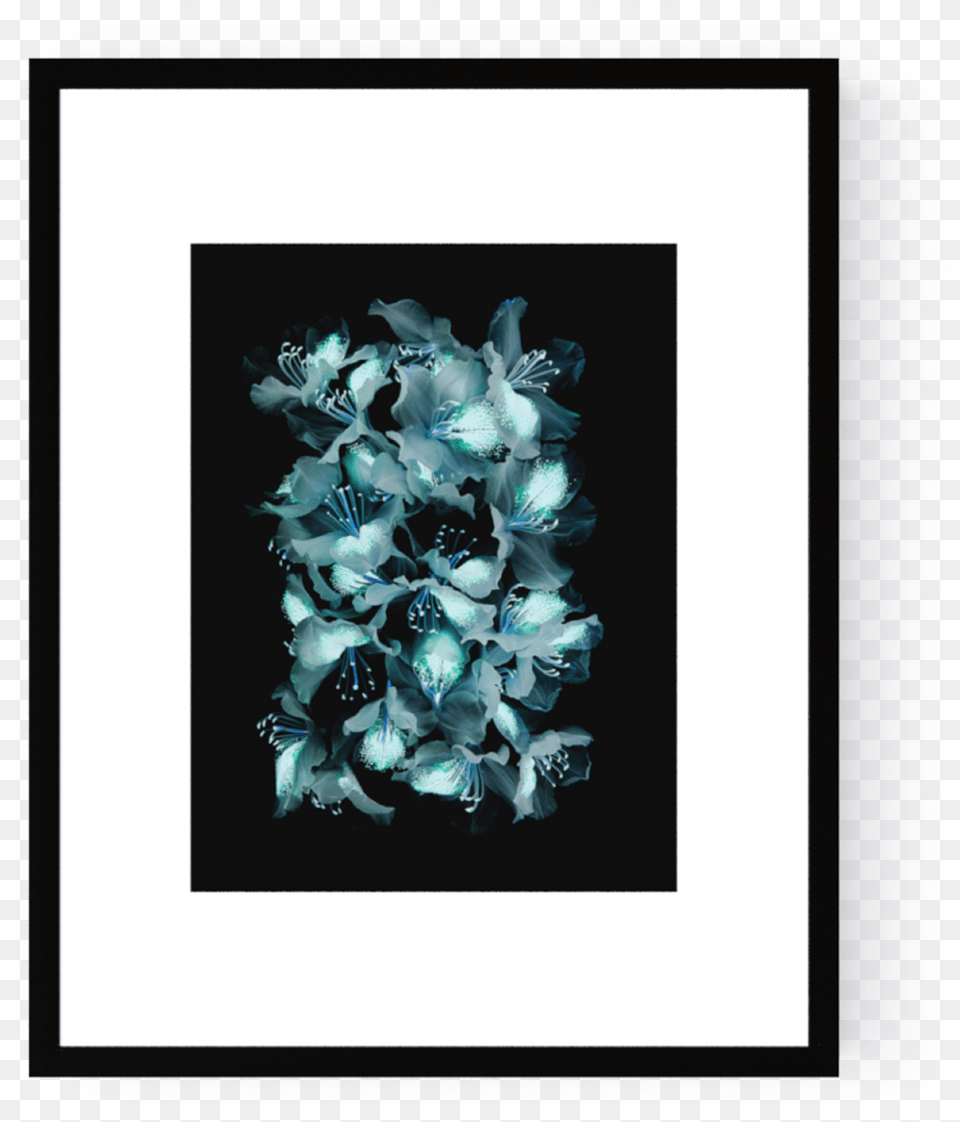 Photo Azale Michel Gantner Photograph, Art, Floral Design, Pattern, Graphics Png Image