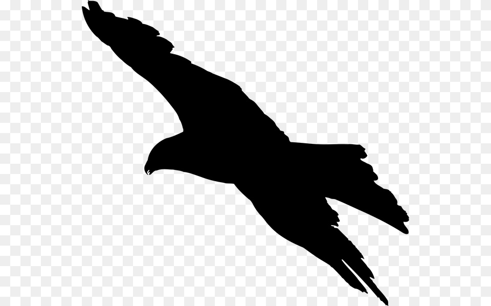 Photo Bird Sign Design Animal Silhouette Eagle Symbol, Gray Free Transparent Png