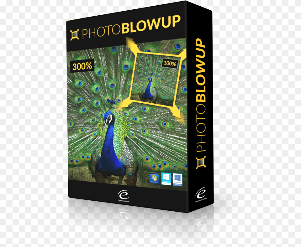 Photo Blowup Boxshot, Animal, Bird Png Image