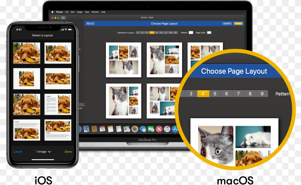 Photo Book App Apple Macos Or Ios Motif Smart Device, Animal, Mammal, Wildlife, Bear Png Image