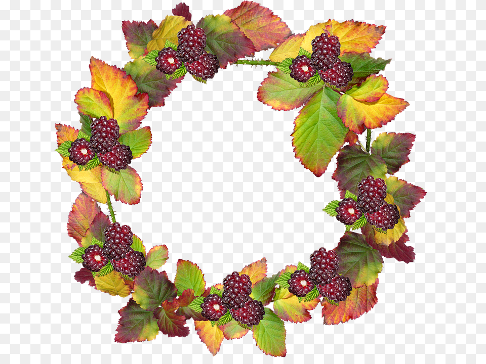 Photo Border Autumn Frame Fall Leaves Berries Wreath, Berry, Food, Fruit, Plant Free Png