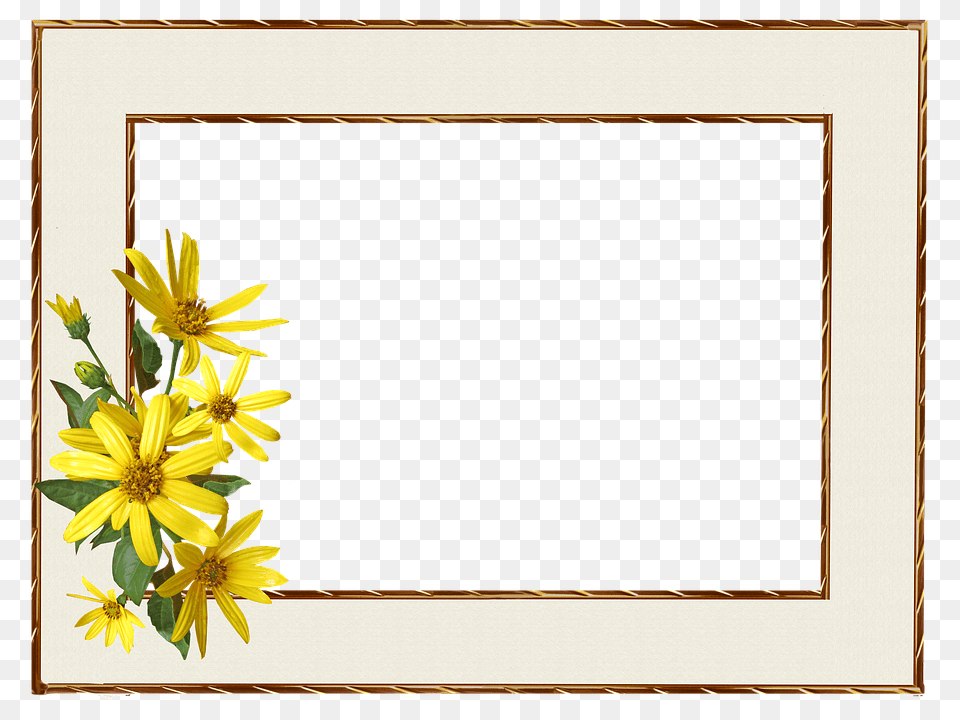 Photo Border Yellow Flower Frame, Plant, Daisy, Sunflower, Flower Arrangement Png