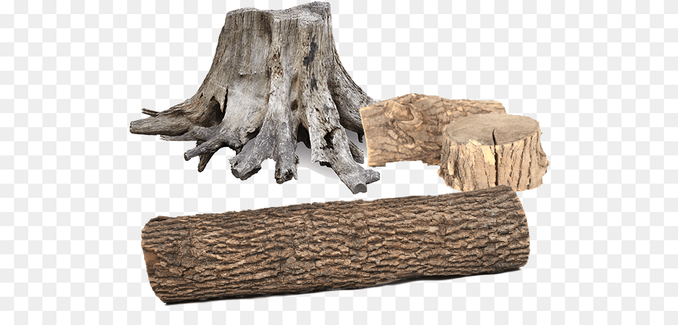 Photo By Wood, Plant, Tree, Tree Stump Free Png