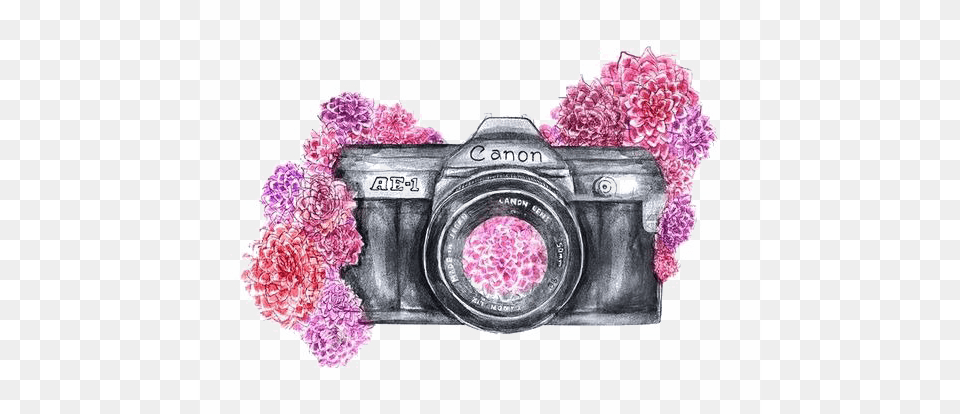 Photo Camera Picture Camera Drawing With Color, Electronics, Digital Camera, Flower, Plant Png