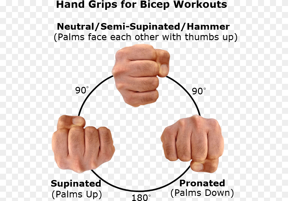 Photo Caption, Body Part, Finger, Hand, Person Free Png