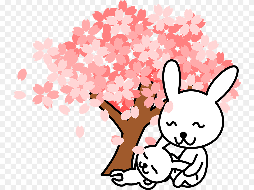Photo Cherry Tree Cute Bunnies Animal Tree Rabbits, Flower, Plant, Petal, Cherry Blossom Free Png