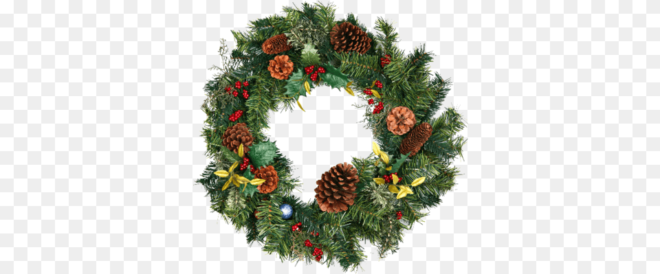 Photo Christmas Wreath Christmas Wreath Real, Plant, Animal, Bird Free Png