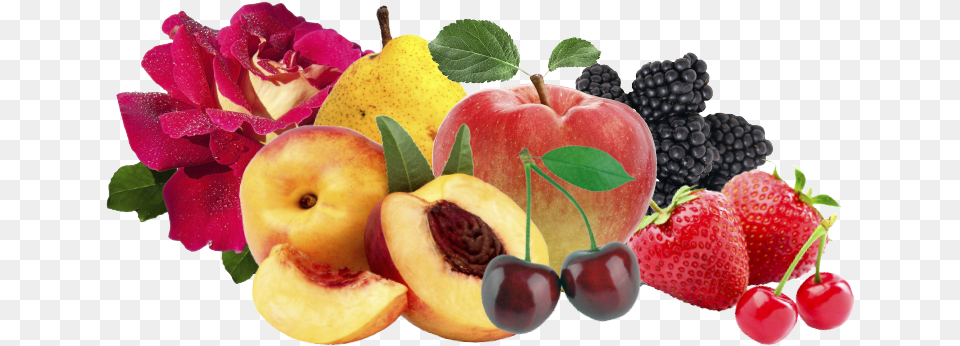 Photo Collage, Apple, Food, Fruit, Plant Free Png Download