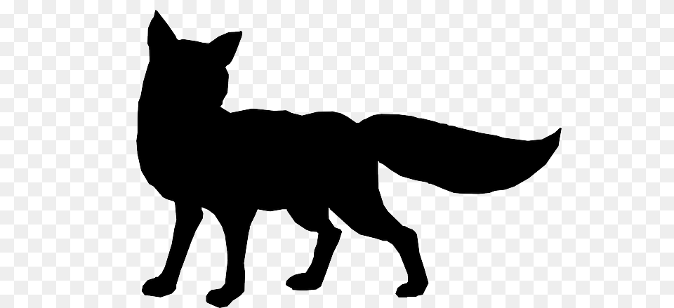 Photo Fox Wily Wildlife Cunning Nature Animal Wild, Silhouette, Canine, Dog, Mammal Free Png Download