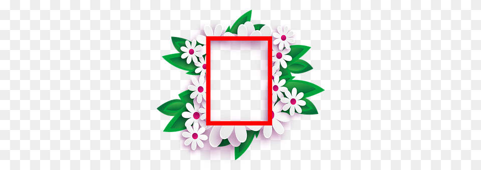 Photo Frame Flower, Plant, Dahlia, Purple Png