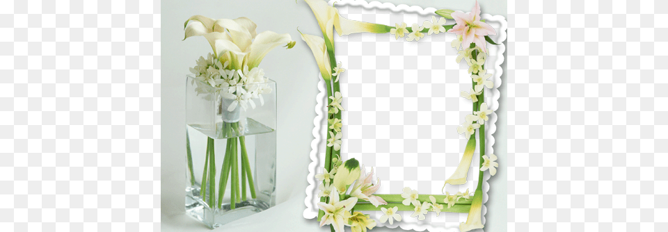 Photo Frame Delicate Flowers Vase With Water And Flowers, Flower, Flower Arrangement, Plant, Flower Bouquet Png