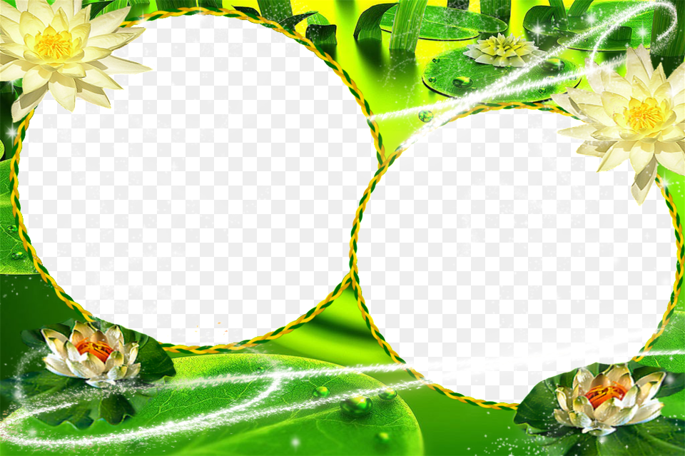 Photo Frame Of Lotus Flower This Graphics Green Nature, Pattern, Plant, Floral Design, Collage Free Transparent Png