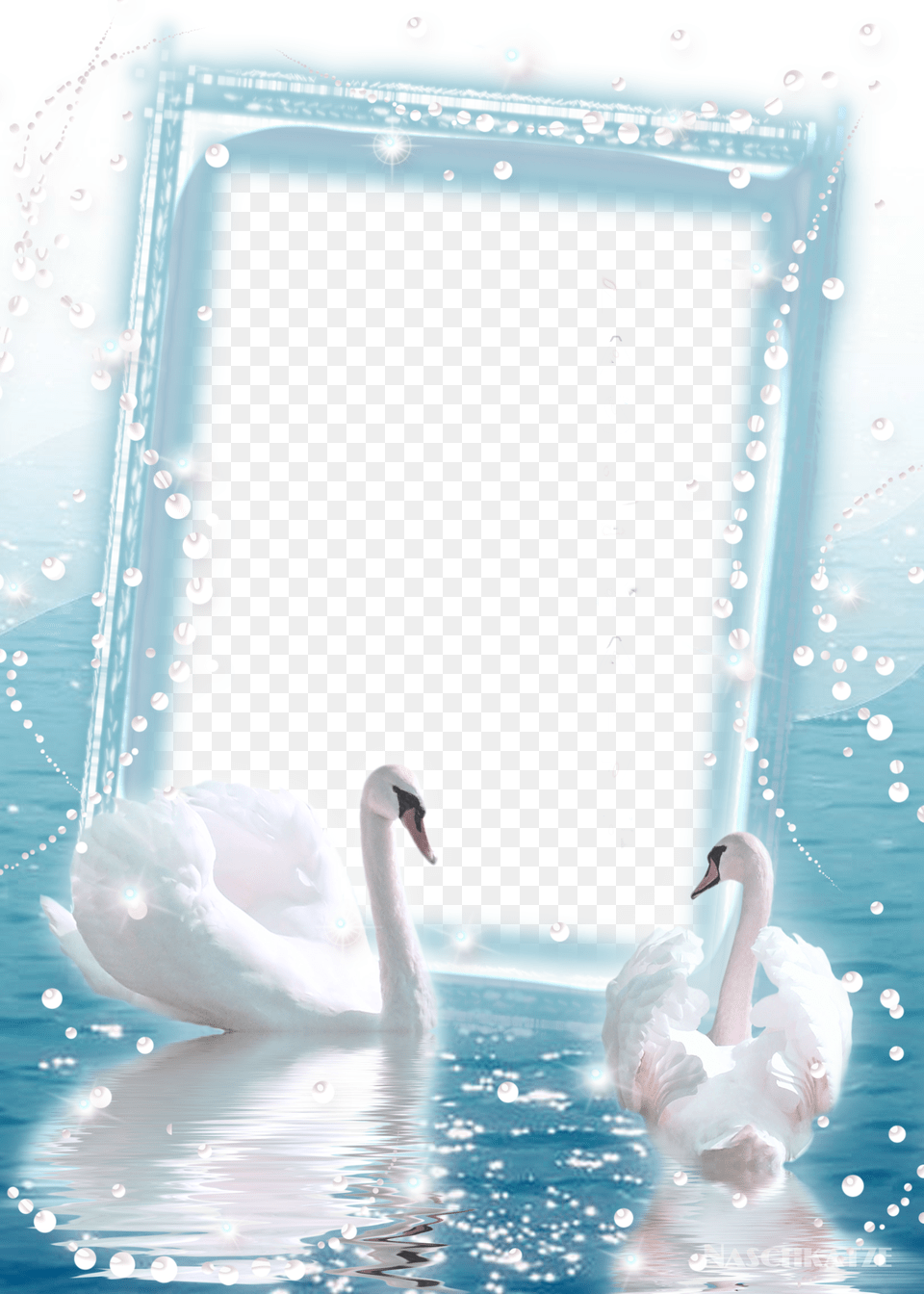 Photo Frame With Two Swans Love Four Times Over Four Historical Romances, Animal, Bird, Swan Png