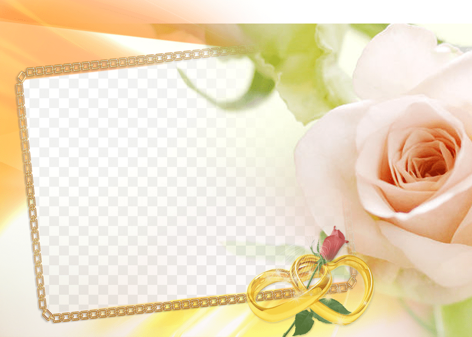 Photo Frames Images Frame Hd Wallpaper And Background, Flower, Plant, Rose Png Image