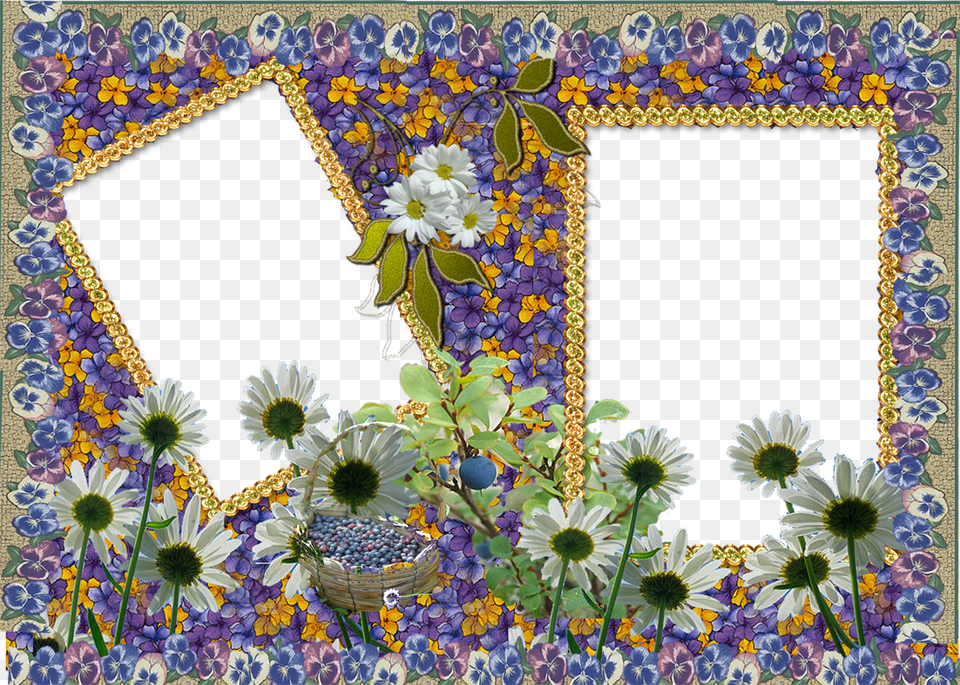 Photo Frames Images Photo Frame Hd Wallpaper And Background Hedgehogs Frame Background, Art, Collage, Daisy, Flower Free Transparent Png