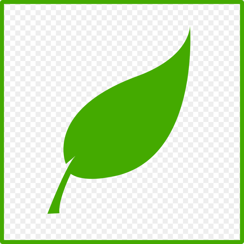 Photo Green Leaf, Plant, Astronomy, Moon, Nature Png Image