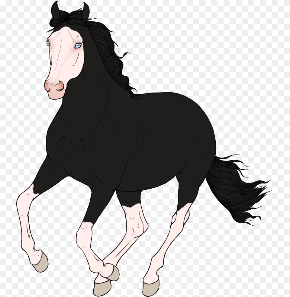 Photo Gunshot Mane Full Size Image Pngkit Animal Figure, Mammal, Horse, Colt Horse Free Png