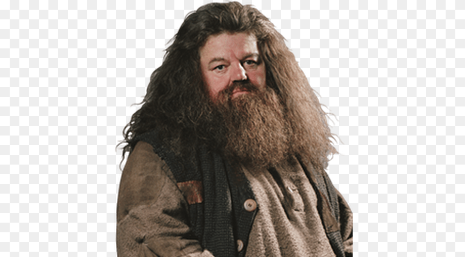 Photo Hagrid Cutout, Adult, Beard, Face, Head Free Png Download