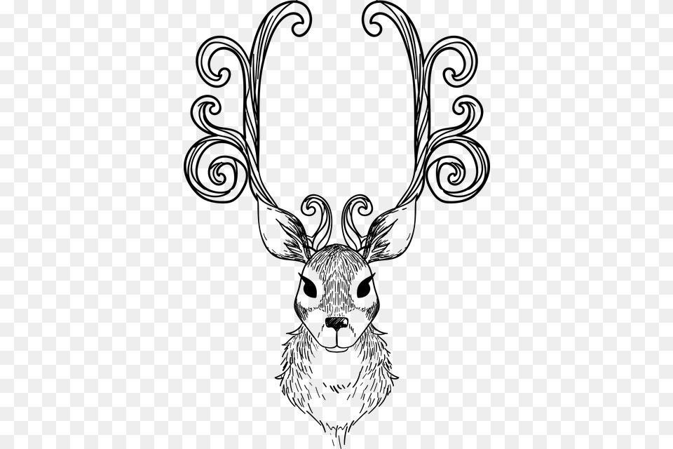 Photo Horns Animal Reindeer Mammal Head Black And White, Gray Free Png Download