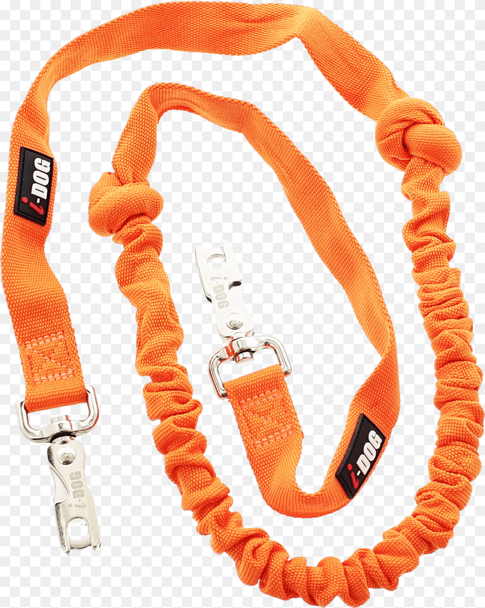 Photo Laisse One Canicross Acheter Laisse, Accessories, Leash, Jewelry, Necklace Png Image