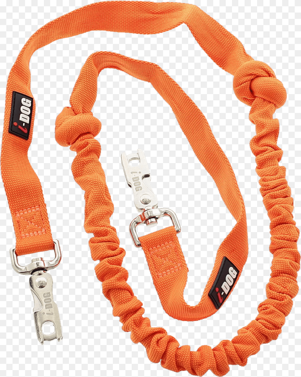 Photo Laisse One Leash, Accessories, Jewelry, Necklace, Belt Png
