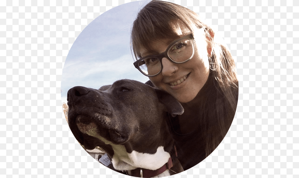 Photo Message Companion Dog, Accessories, Portrait, Photography, Person Free Transparent Png