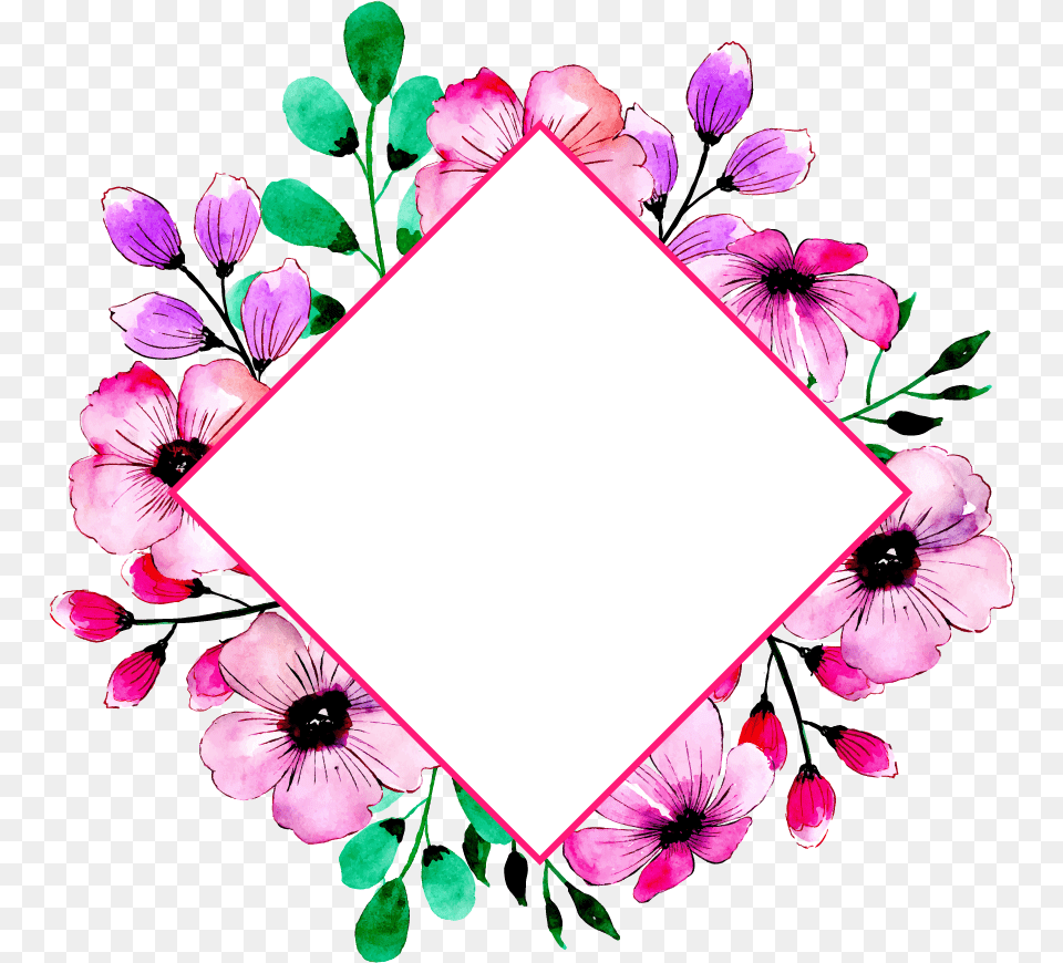 Photo Multi Frame, Flower, Petal, Plant, Art Png Image