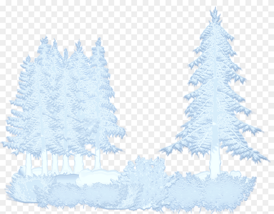 Photo Nature Path Winter Landscape Trees Snow Mountains Snow Forest Transparent, Fir, Tree, Plant, Pine Png