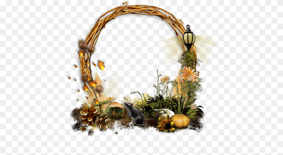 Photo Nicepng Halloween Framepng Crazy Cool Pals Halloween, Flower, Flower Arrangement, Plant, Flower Bouquet Png Image