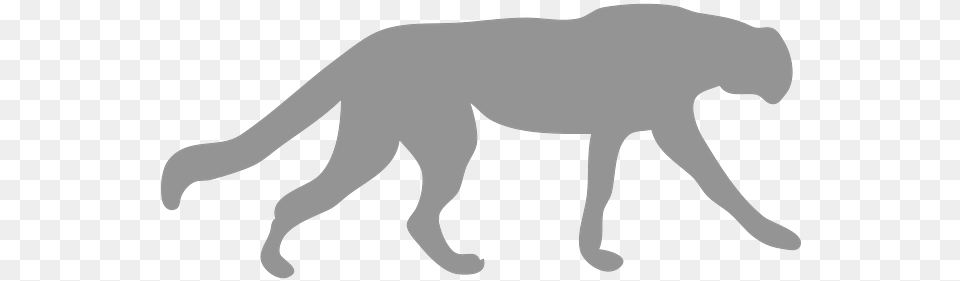 Photo Of A Cougar Cat Outline Black Outline Of Animals, Silhouette, Stencil Free Png