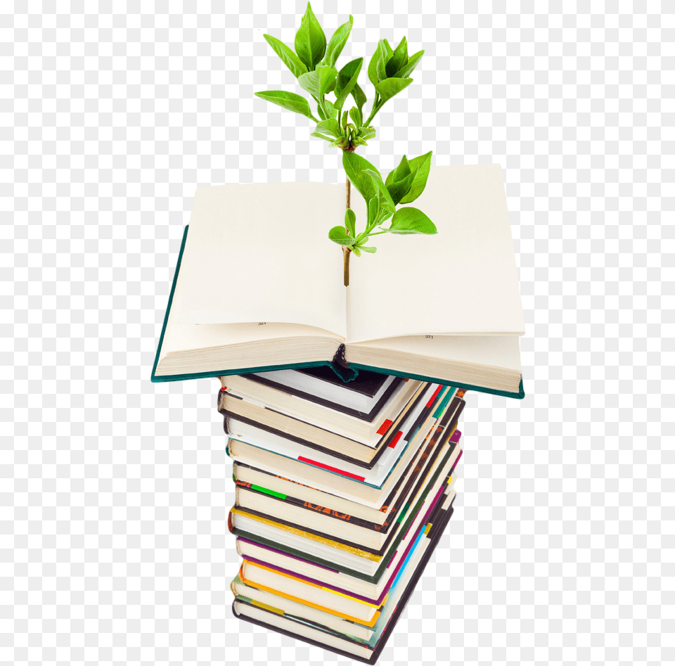 Photo Of Plant Growing From A Stack Of Books Go Green Light Bulb, Book, Publication Png Image