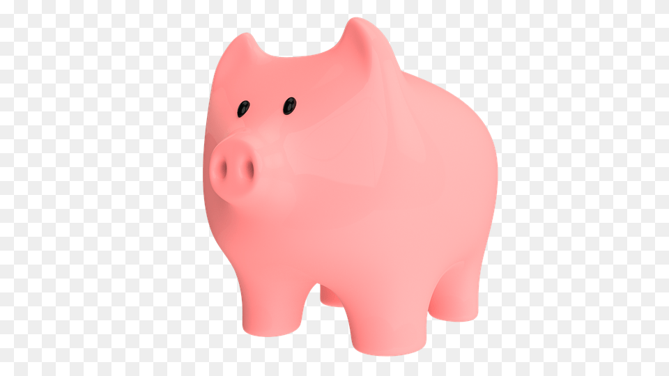 Photo Piggy Save Pig Animal Snout Pennies Coins Money, Mammal, Piggy Bank Free Transparent Png