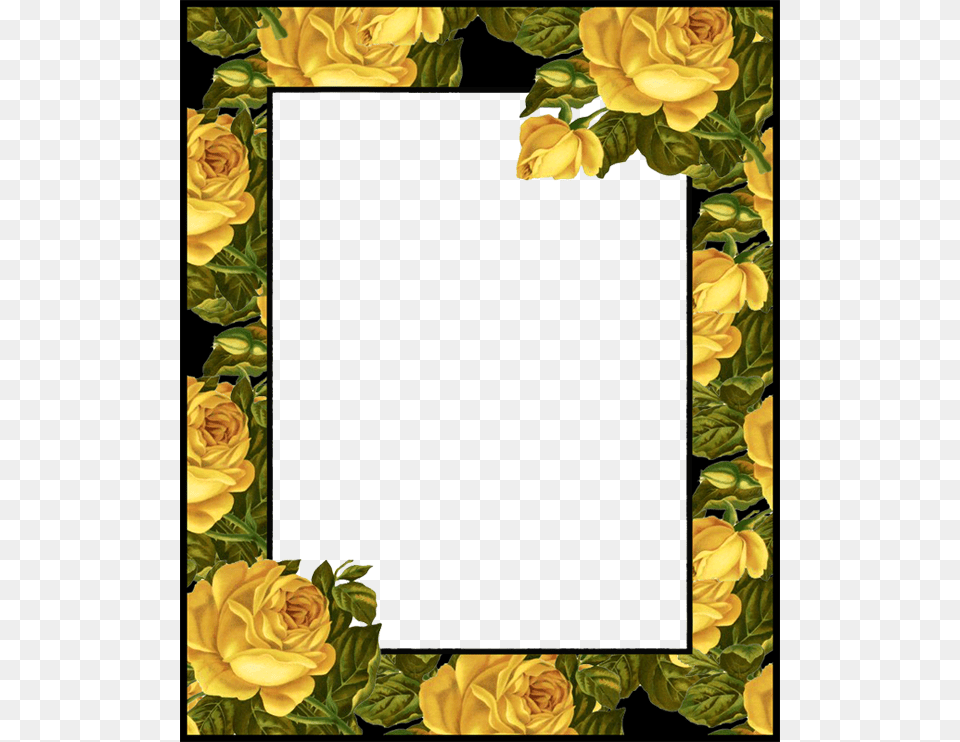 Photo Printable Frames Frame Background Flower Molduras De Rosas Amarelas, Art, Collage, Rose, Plant Free Transparent Png