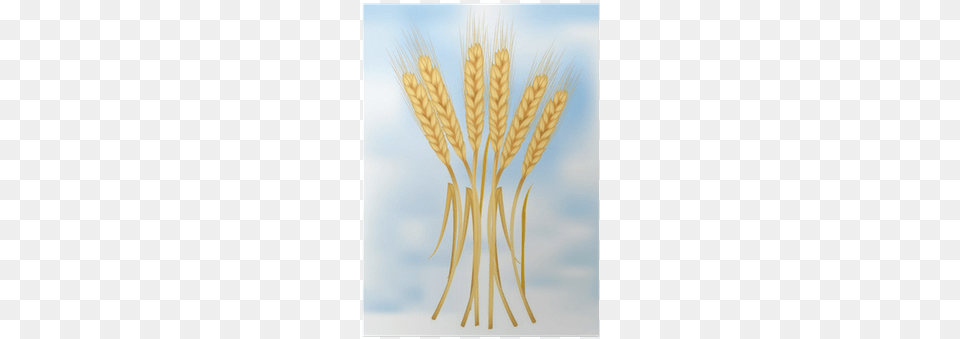 Photo Realistic Vector Illustration Khorasan Wheat, Food, Grain, Produce, Chandelier Free Png