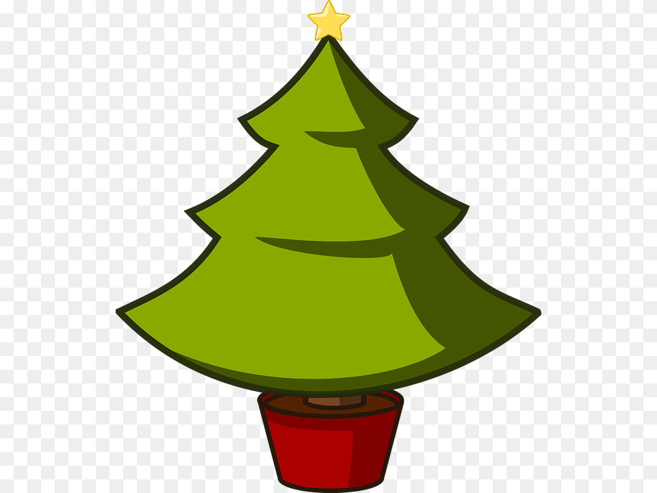 Photo Redwood Isolated Tree Spruce Pine Evergreen Christmas Tree Clip Art, Plant, Green, Christmas Decorations, Festival Free Png Download
