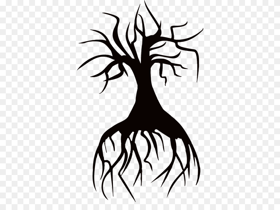 Photo Roots Silhouette Barren Tree Dead, Plant, Root, Antler, Person Free Png Download