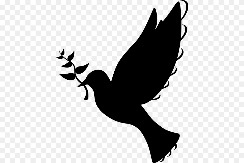 Photo Silhouette Symbol Flying Olive Branch Peace Dove, Gray Free Png Download