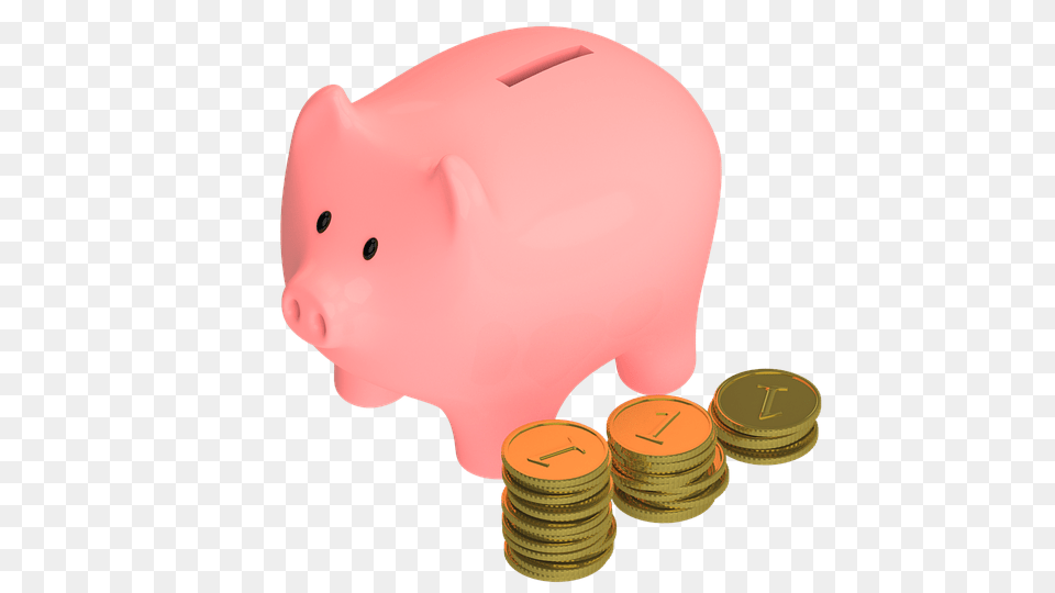 Photo Snout Piggy Pig Coins Pennies Money Animal Save, Piggy Bank Png