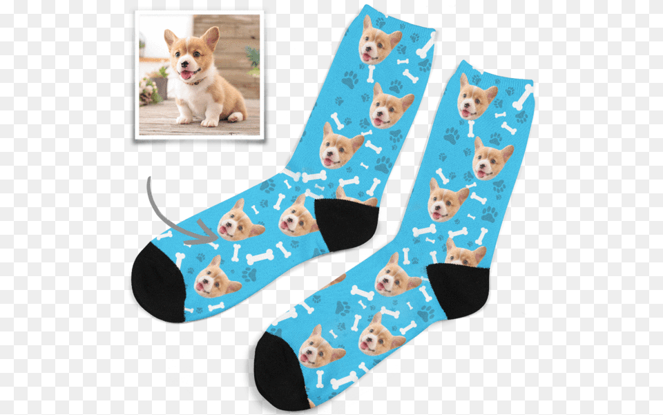 Photo Socks Custom Dog Face Socks Sock, Animal, Canine, Mammal, Pet Free Png