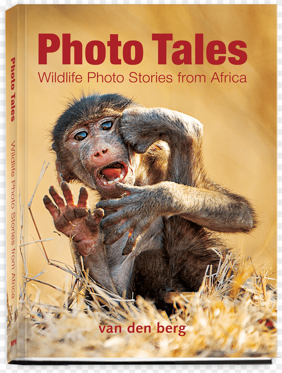 Photo Talesquotclass You Tube Free Transparent Png