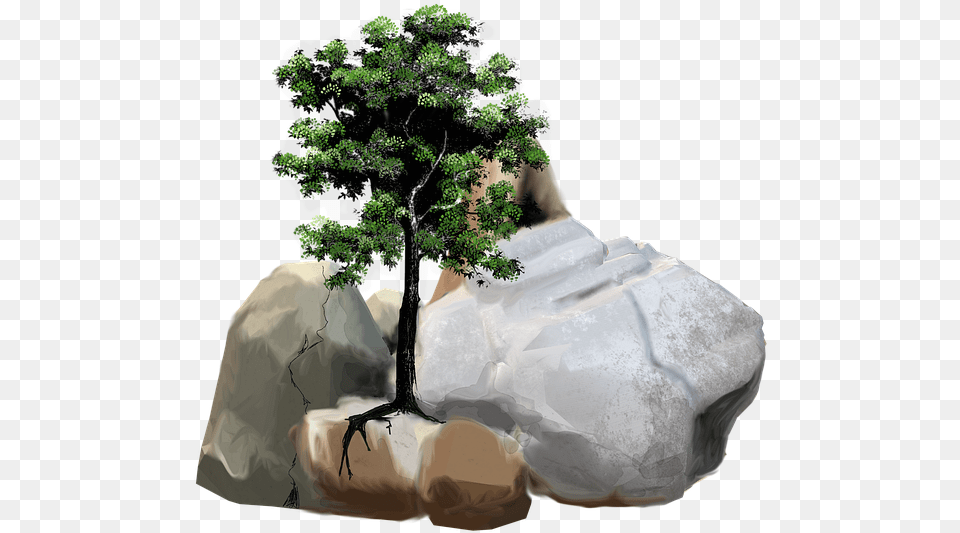 Photo Tree Nature Stone Pebble Leaves Rock Stones Max Tree With Stones, Plant, Potted Plant, Vegetation, Herbal Free Png Download