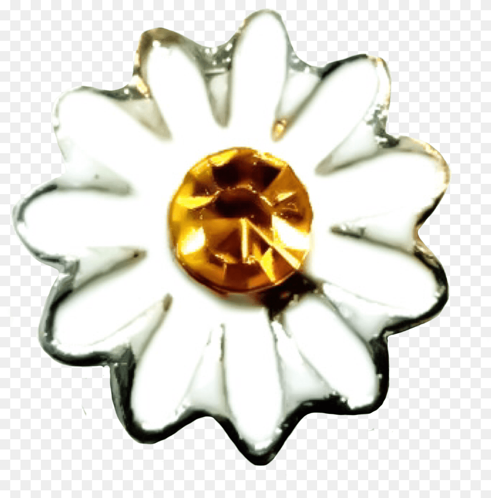 Photo White Daisy Bloom Blossom Daisy Lovely, Accessories, Jewelry, Brooch, Gemstone Png
