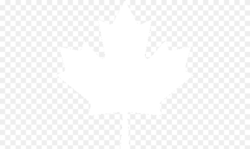Photo White Maple Leaf, Plant, Maple Leaf, Silhouette Png Image