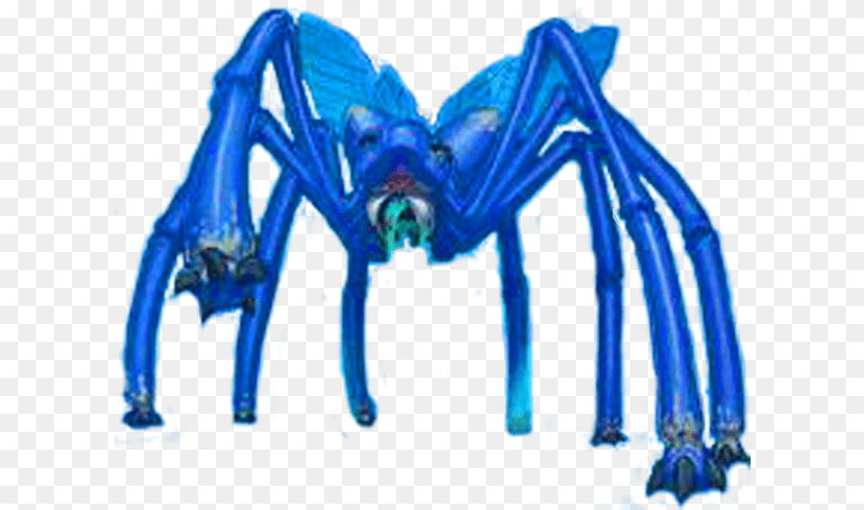 Photo Worm Millidith Spider, Water, Animal, Dinosaur, Reptile Png Image