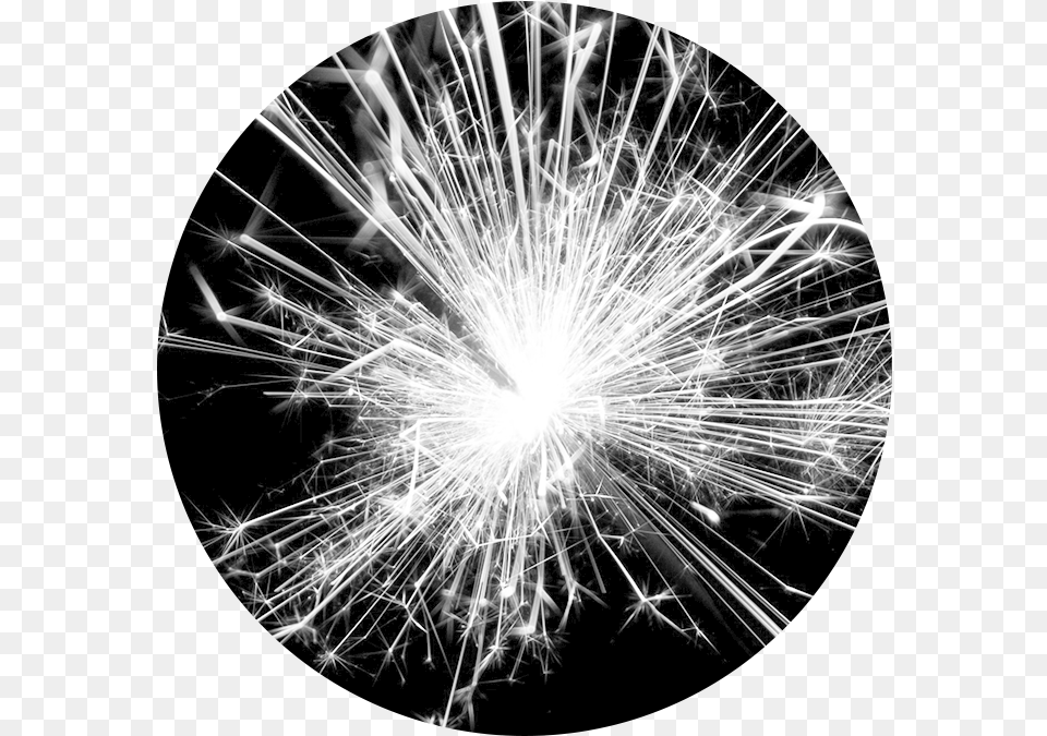 Photocircle Spark, Fireworks, Plant, Nature, Night Free Png