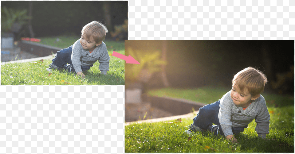 Photograph, Boy, Child, Grass, Male Png