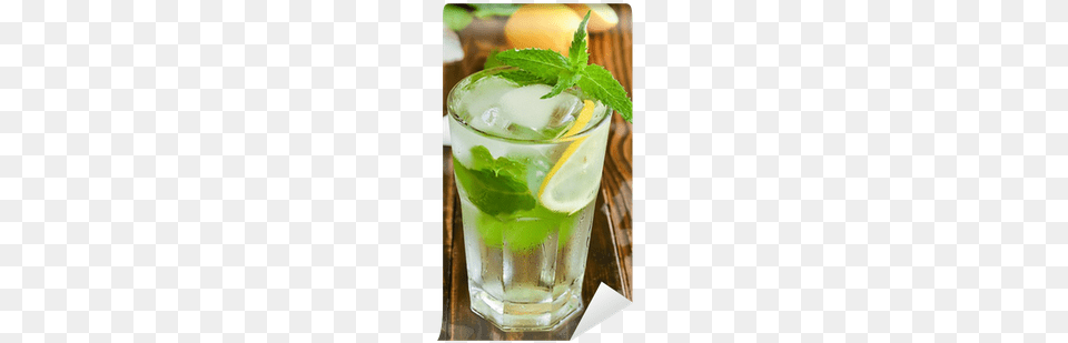 Photograph, Alcohol, Beverage, Cocktail, Herbs Png