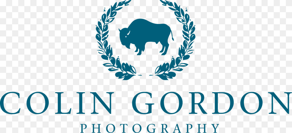 Photographer Logo, Animal, Mammal, Pig, Buffalo Free Png