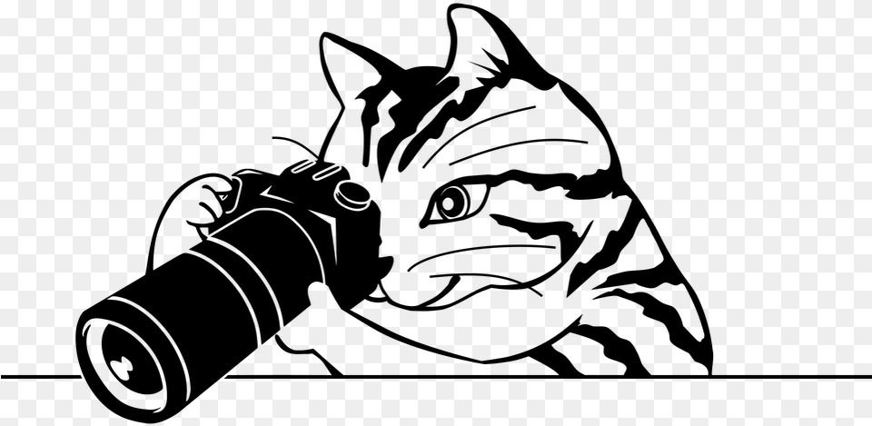 Photographer Telephoto Lens Cat Coverage Camera Photography Clipart Black And White, Gray Png