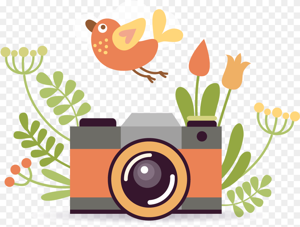 Photographic Film Camera Cartoon Poster Vector Camara Fotografica Animado, Electronics, Art, Graphics Free Transparent Png